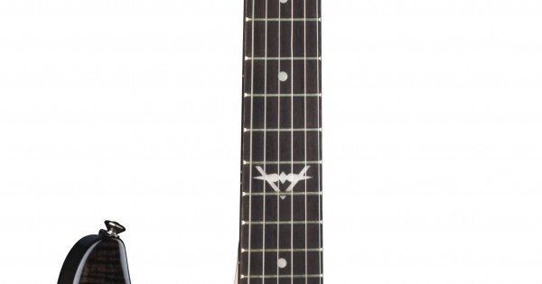 DEAN CUSTOM 350 FloydRose Trans Black 現状 DEAN CUSTOM 350 FloydRose Trans Black 現状 Dean Custom 350 Floyd